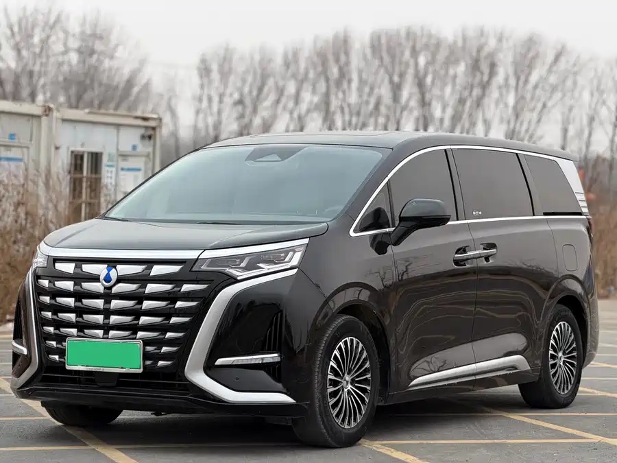 Denza Denza D9 DM-i 2024   1050 Premium Edition