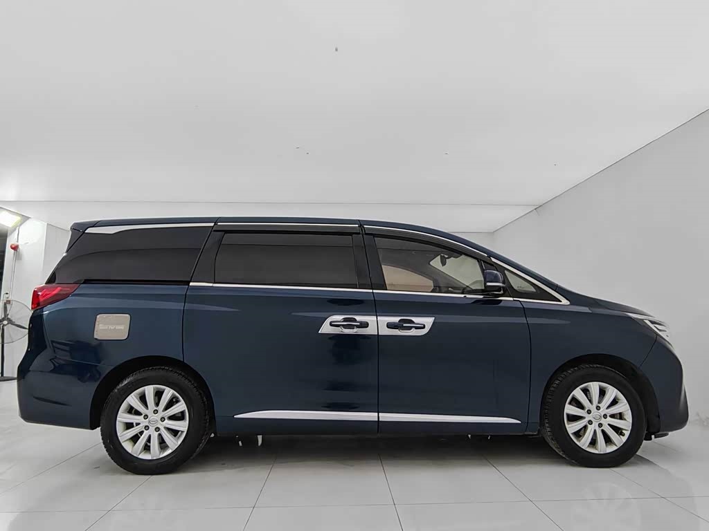 GAC Trumpchi 2018 GAC Trumpchi M8 320T Premium Edition