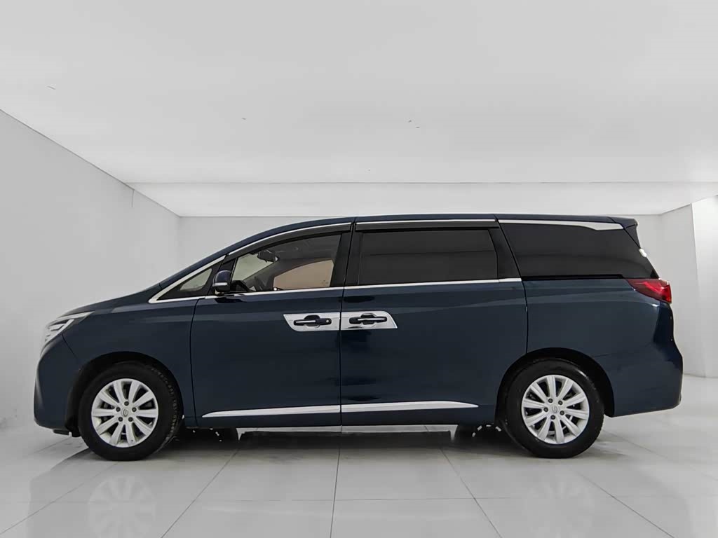 GAC Trumpchi 2018 GAC Trumpchi M8 320T Premium Edition