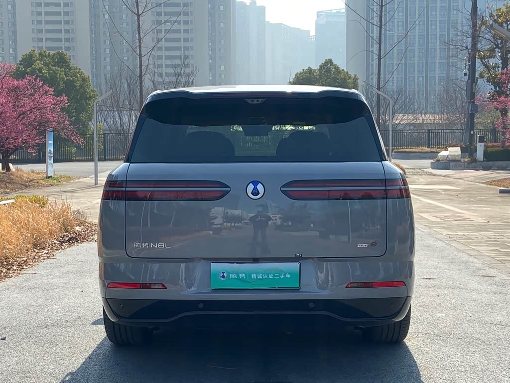 Denza 2025 Denza N8L Flagship