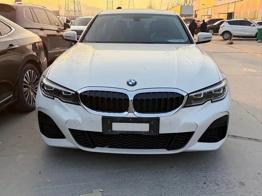 BMW BMW 3 Series 2020 320Li M Sport Package