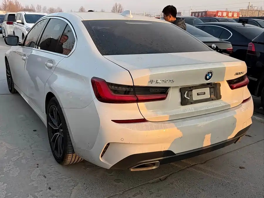 BMW BMW 3 Series 2020 320Li M Sport Package