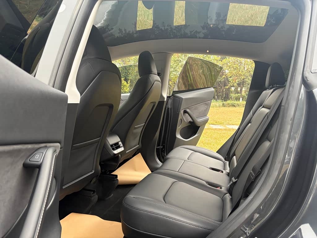 Tesla Model Y 2024 Rear-Wheel Drive Version