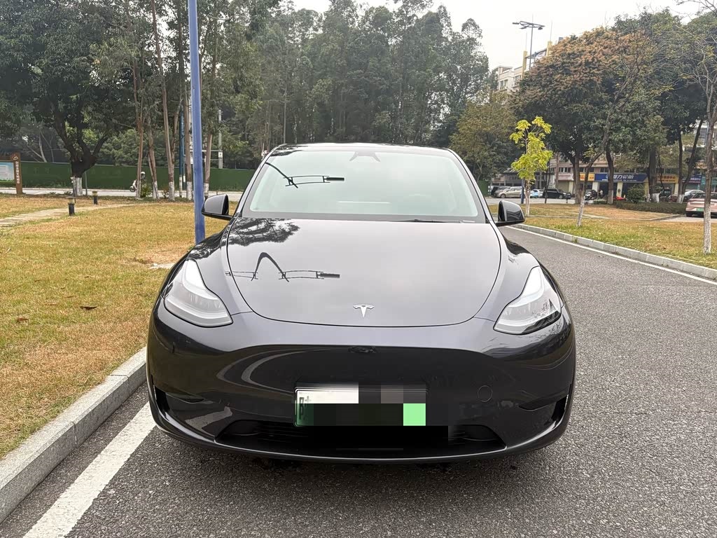 Model Y 2024 Rear-Wheel Drive Version