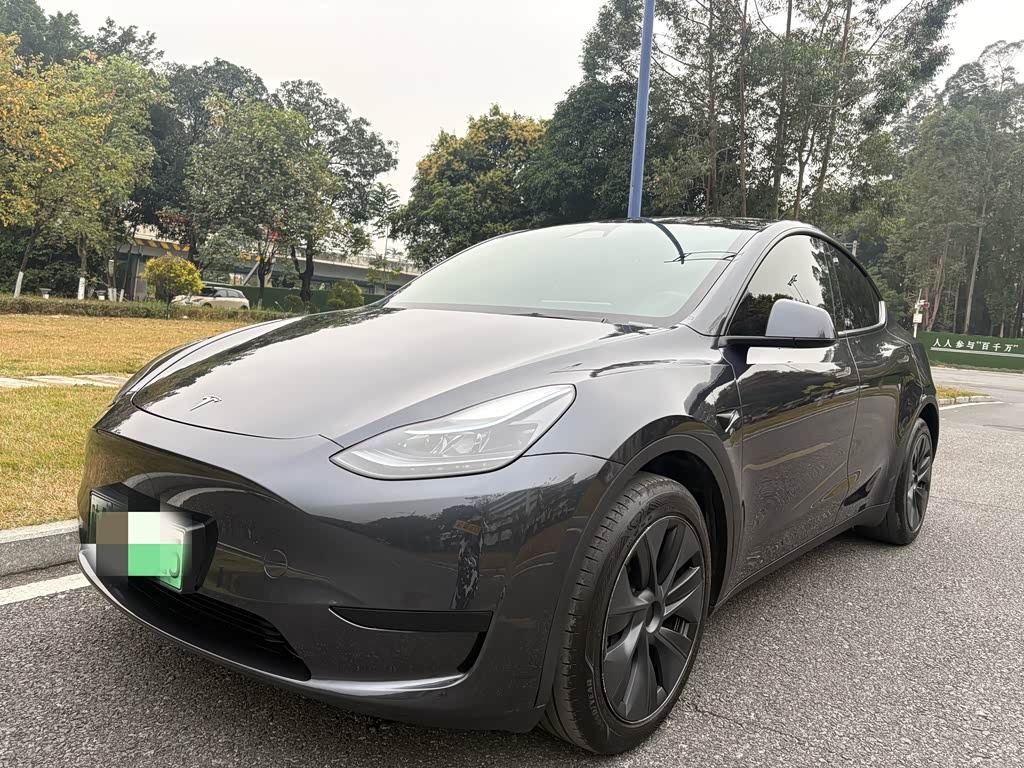 Tesla Model Y 2024 Rear-Wheel Drive Version