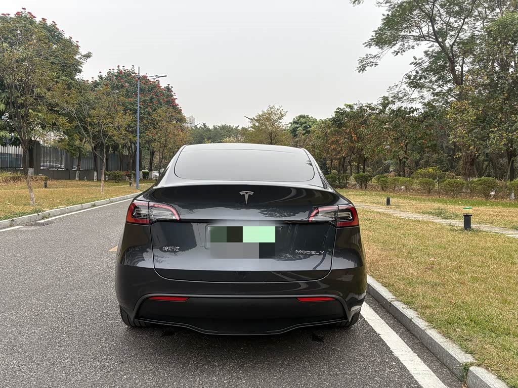 Tesla Model Y 2024 Rear-Wheel Drive Version