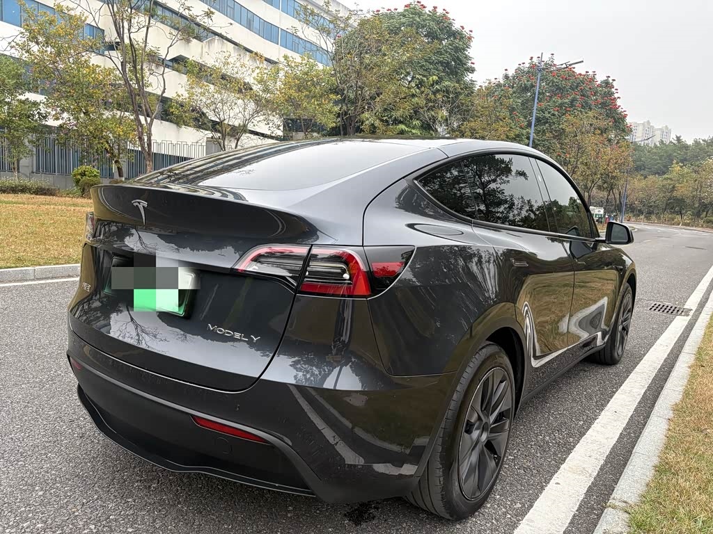 Tesla Model Y 2024 Rear-Wheel Drive Version