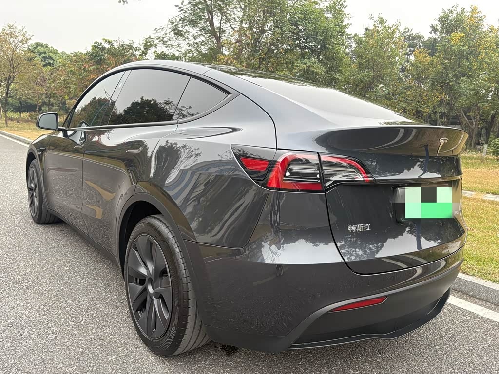 Tesla Model Y 2024 Rear-Wheel Drive Version