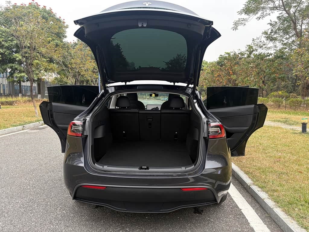Tesla Model Y 2024 Rear-Wheel Drive Version