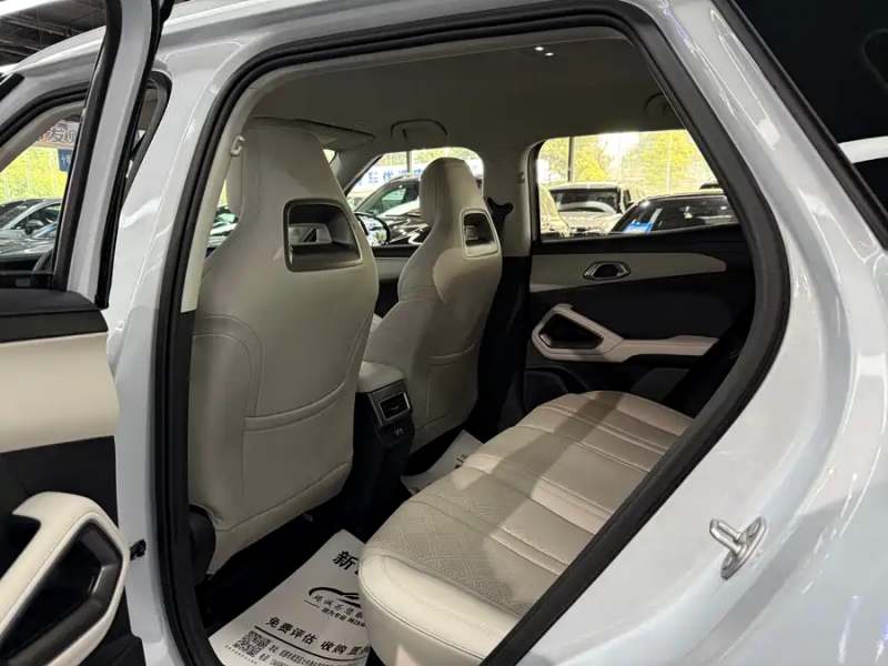 BYD BYD Yuan UP 2024 401KM Leading Model