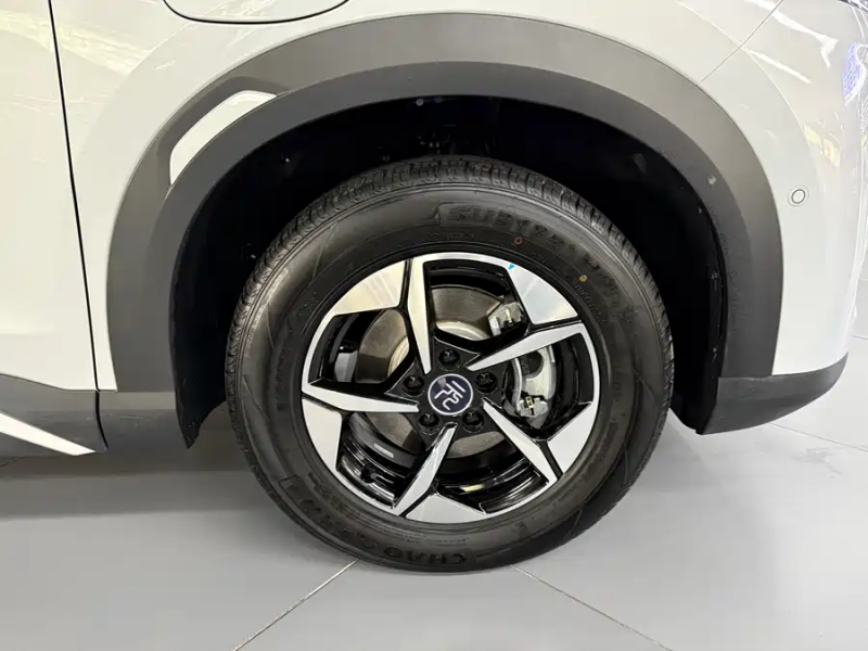 BYD BYD Yuan UP 2024 401KM Leading Model