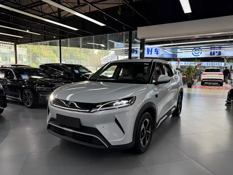 BYD Yuan UP 2024 401KM Leading Model