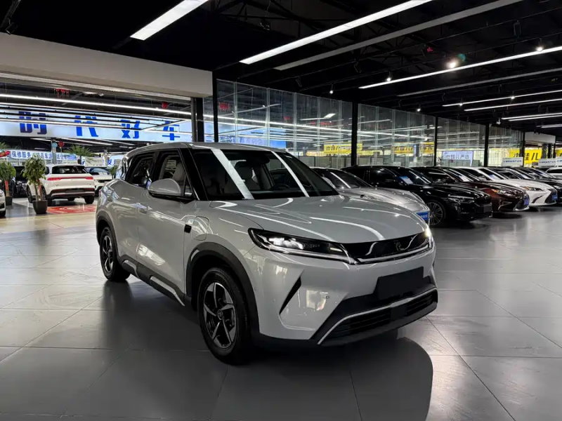 BYD BYD Yuan UP 2024 401KM Leading Model