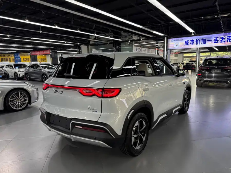 BYD BYD Yuan UP 2024 401KM Leading Model