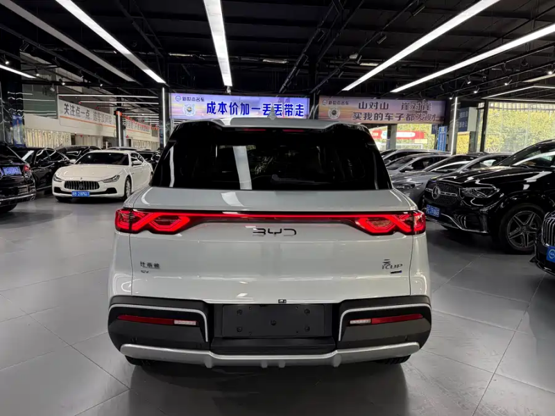 BYD BYD Yuan UP 2024 401KM Leading Model
