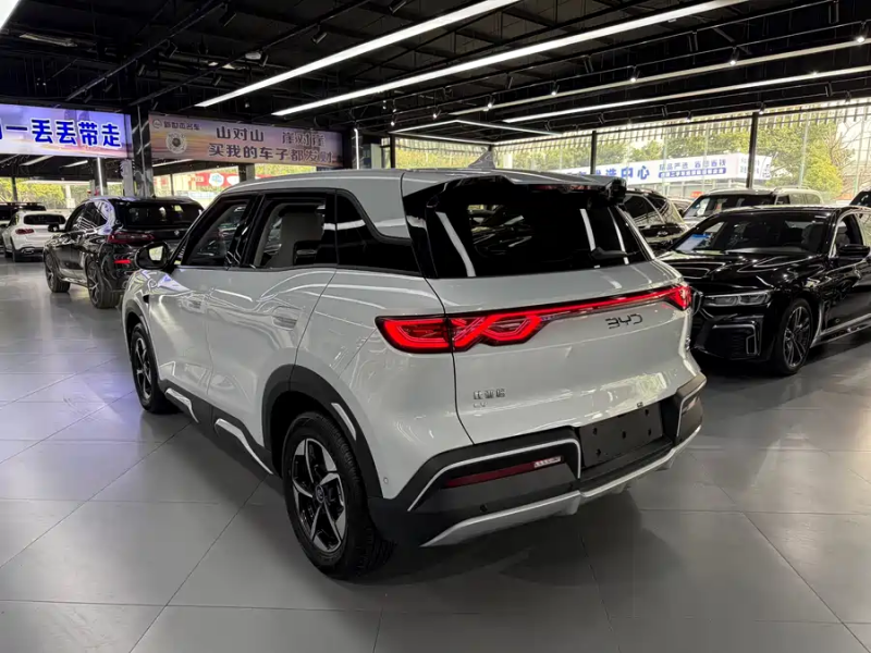 BYD BYD Yuan UP 2024 401KM Leading Model