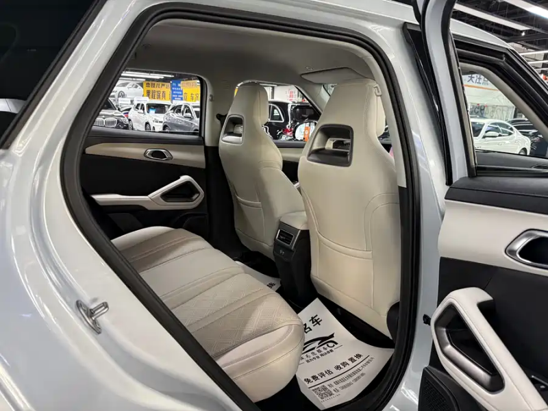 BYD BYD Yuan UP 2024 401KM Leading Model