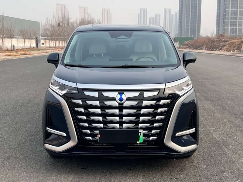 Denza D9 2022 DM-i 1040 Premium Edition