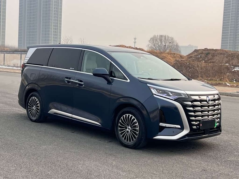 Denza Denza D9 2022 DM-i 1040 Premium Edition