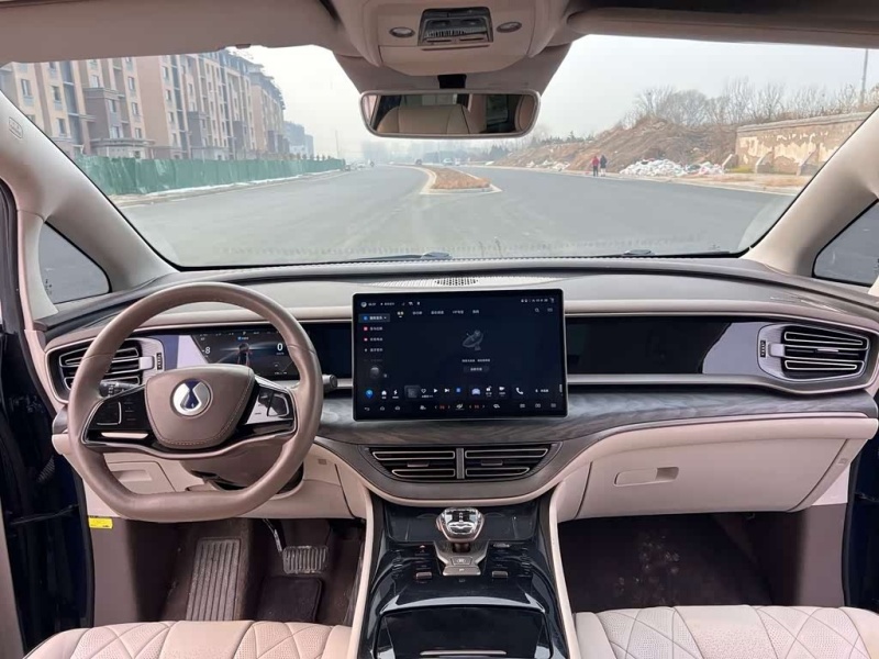 Denza D9 2022 DM-i 1040 Premium Edition