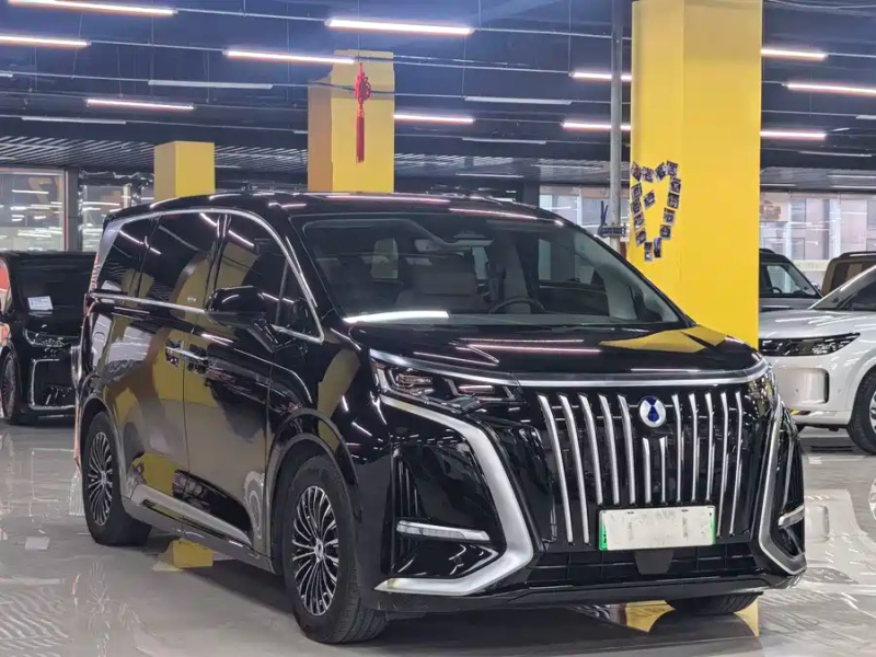 Denza D9 2022 EV 600 AWD Flagship Edition