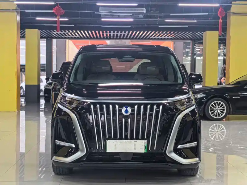 Denza Denza D9 2022 EV 600 AWD Flagship Edition