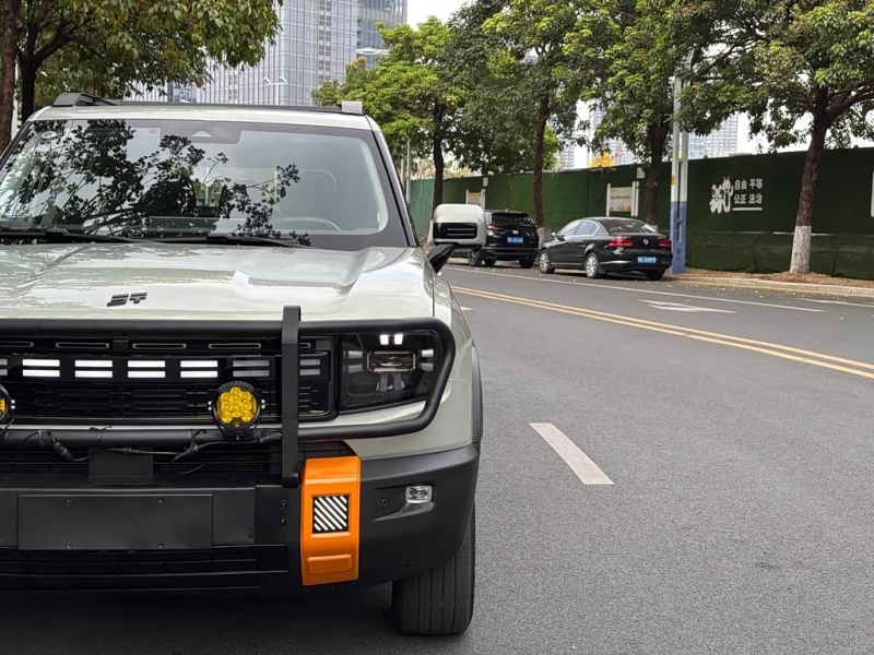 Jetour Jetour Shanhai T1 2024 150km Xianghai Edition