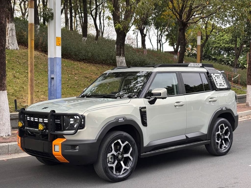 Jetour Jetour Shanhai T1 2024 150km Xianghai Edition