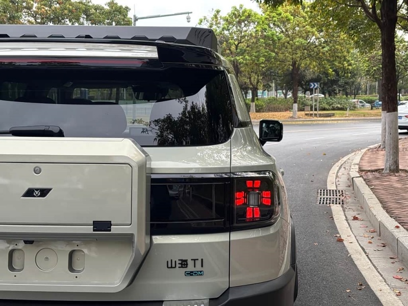 Jetour Jetour Shanhai T1 2024 150km Xianghai Edition