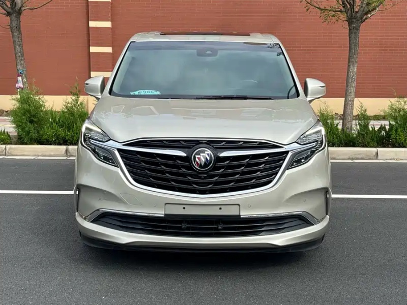 Buick Buick GL8 2021 ES Land Zun 653T Luxury