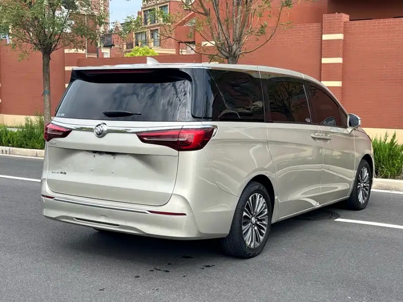 Buick Buick GL8 2021 ES Land Zun 653T Luxury