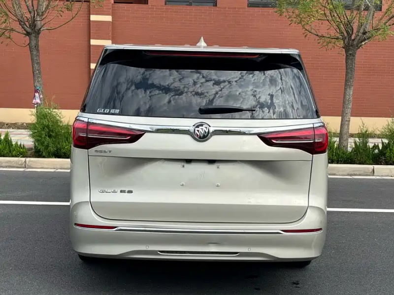 Buick Buick GL8 2021 ES Land Zun 653T Luxury
