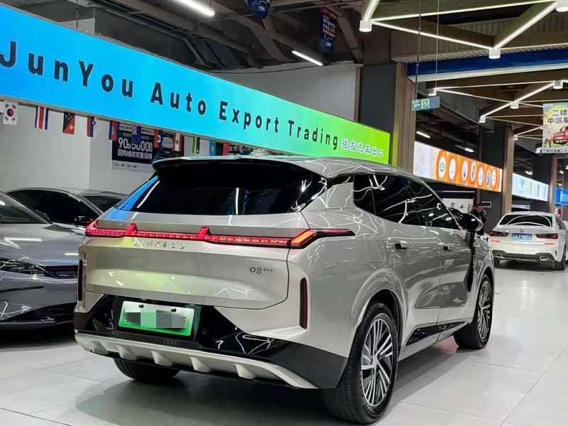 LYNK & CO Lynk & Co 08 EM-P2025 120km long endurance Pro