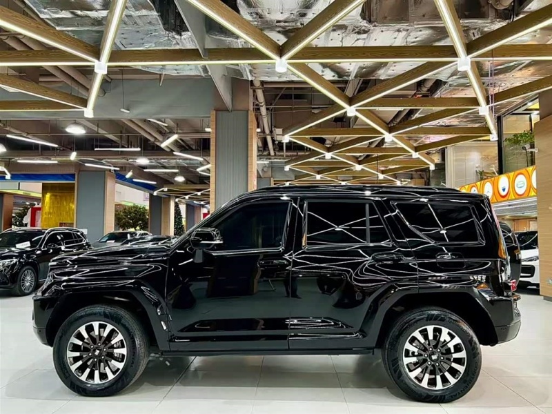 Tank Tank 700 New Energy 2024 Hi4-T Ultimate Edition