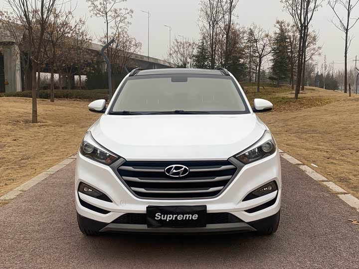 Hyundai Tucson (TL) 1.6 T-GDi 2WD 7DCT edition