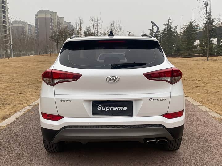 Hyundai Hyundai Tucson (TL) 1.6 T-GDi 2WD 7DCT  edition