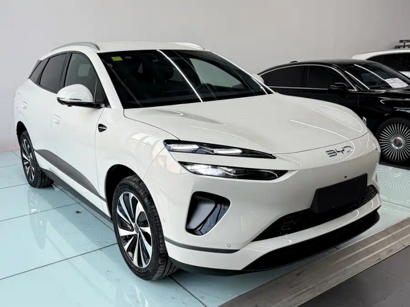 Sea Lion 06 2025 EV 605 Pilot Pro Edition