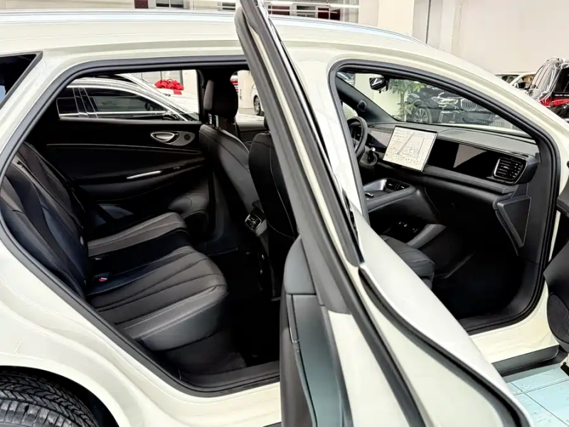 Sea Lion 06 2025 EV 605 Pilot Pro Edition