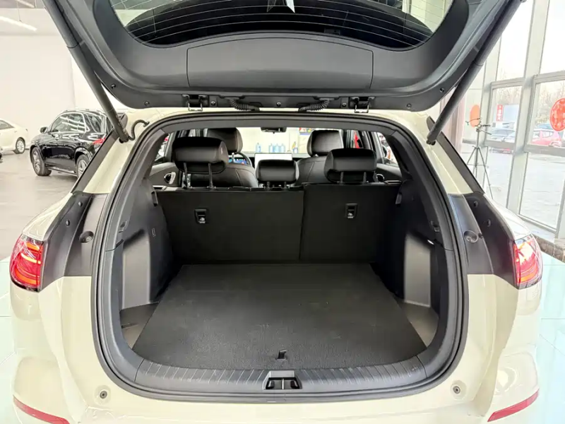 Sea Lion 06 2025 EV 605 Pilot Pro Edition