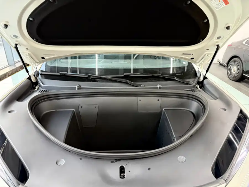 Sea Lion 06 2025 EV 605 Pilot Pro Edition