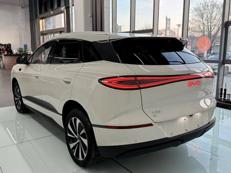 Sea Lion 06 2025 EV 605 Pilot Pro Edition