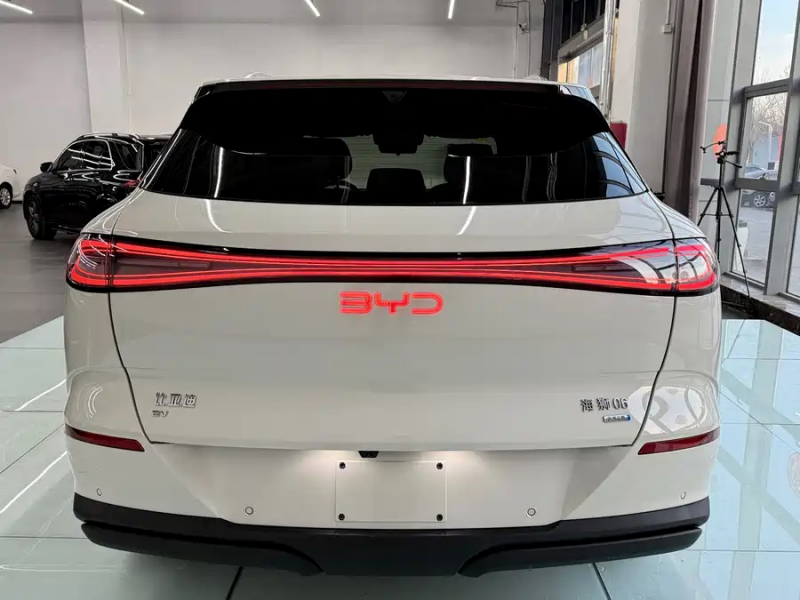 Sea Lion 06 2025 EV 605 Pilot Pro Edition