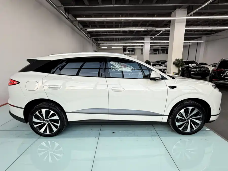 Sea Lion 06 2025 EV 605 Pilot Pro Edition