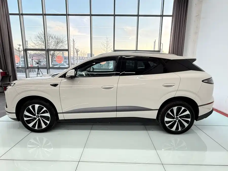 Sea Lion 06 2025 EV 605 Pilot Pro Edition