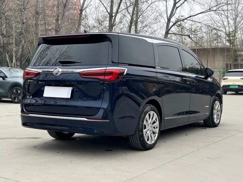 Buick Buick GL8 2020 Avenir Four-Seat Honor Edition