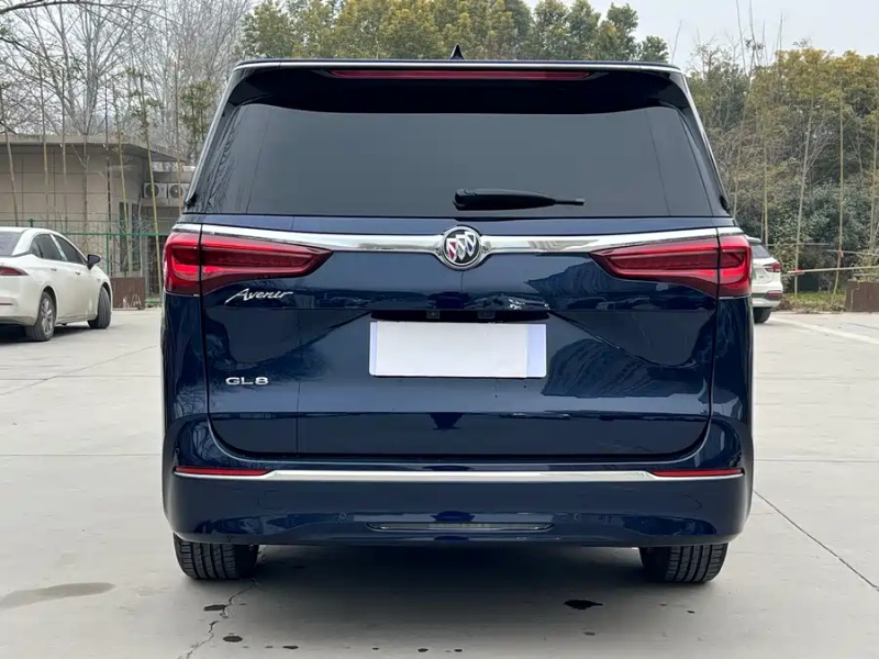 Buick Buick GL8 2020 Avenir Four-Seat Honor Edition