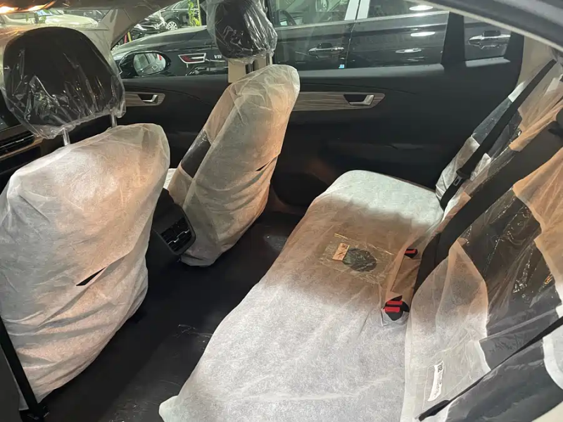 BYD Hongqi E-QM5 2025 500 km Travel Version