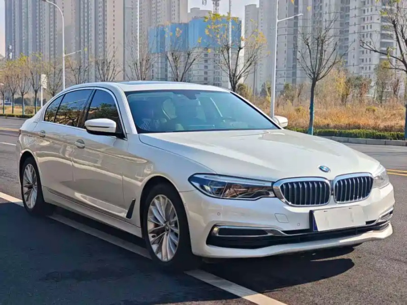 BMW 5 Series 2019 530Li Luxury Premium M Sport Package