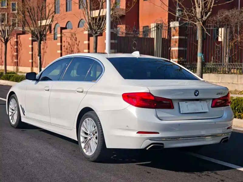 BMW BMW 5 Series 2019 530Li Luxury Premium M Sport Package