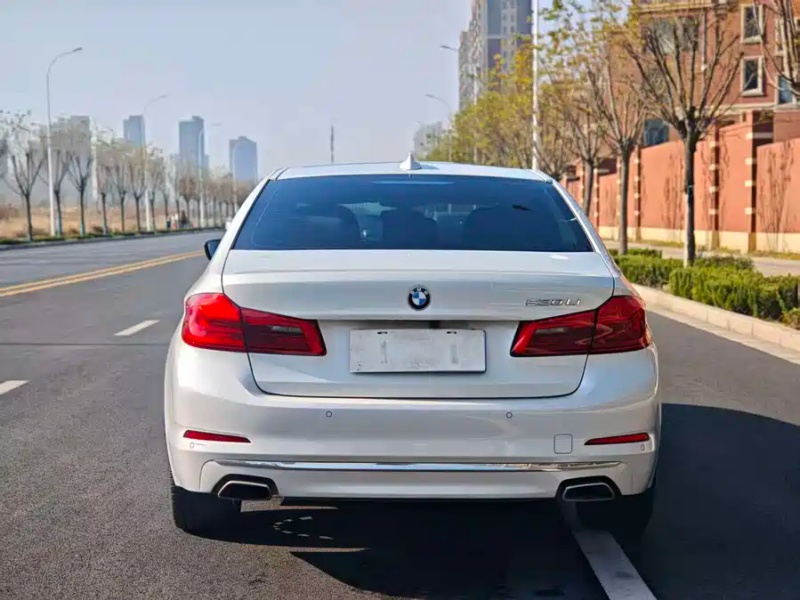 BMW BMW 5 Series 2019 530Li Luxury Premium M Sport Package